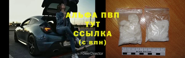 ГАЛЛЮЦИНОГЕННЫЕ ГРИБЫ Абаза