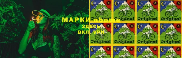 ГАЛЛЮЦИНОГЕННЫЕ ГРИБЫ Абаза