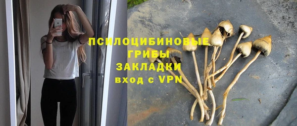 твердый Абинск