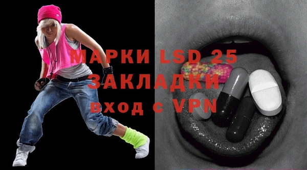 прущий лед Алзамай