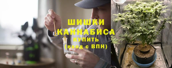 ГАЛЛЮЦИНОГЕННЫЕ ГРИБЫ Абаза
