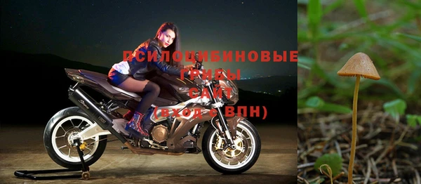 ГАЛЛЮЦИНОГЕННЫЕ ГРИБЫ Абаза