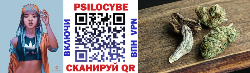 Галлюциногенные грибы прущие грибы  хочу   OMG как войти  Собинка 